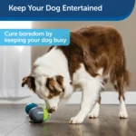 Ricochet Interactive Electronic Dog Toy - Image 4