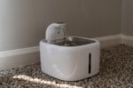 Automatic Pet Water Fountain with Filter – Quiet Cat & Dog Drinking Water Dispenser - Image 3
